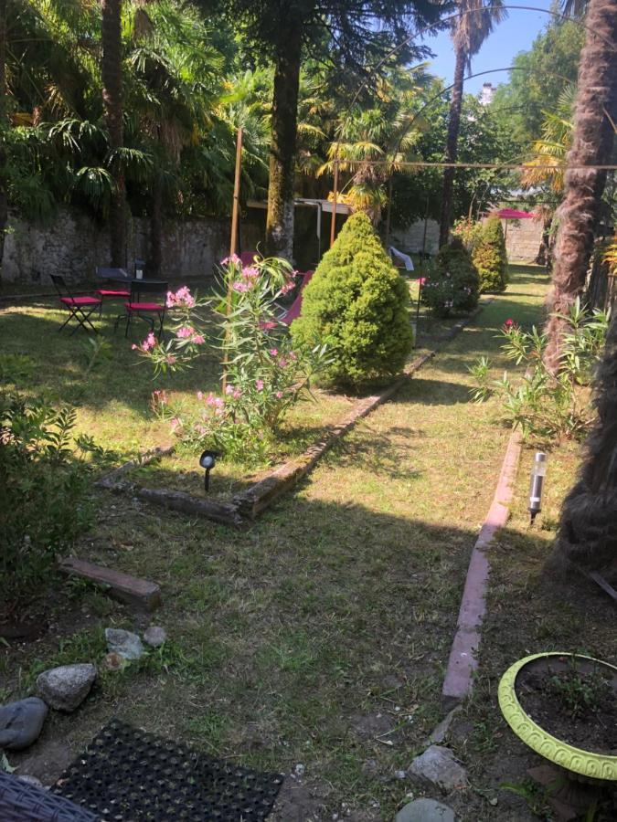 Le Logis Le Pic Du Midi Apartment Lourdes